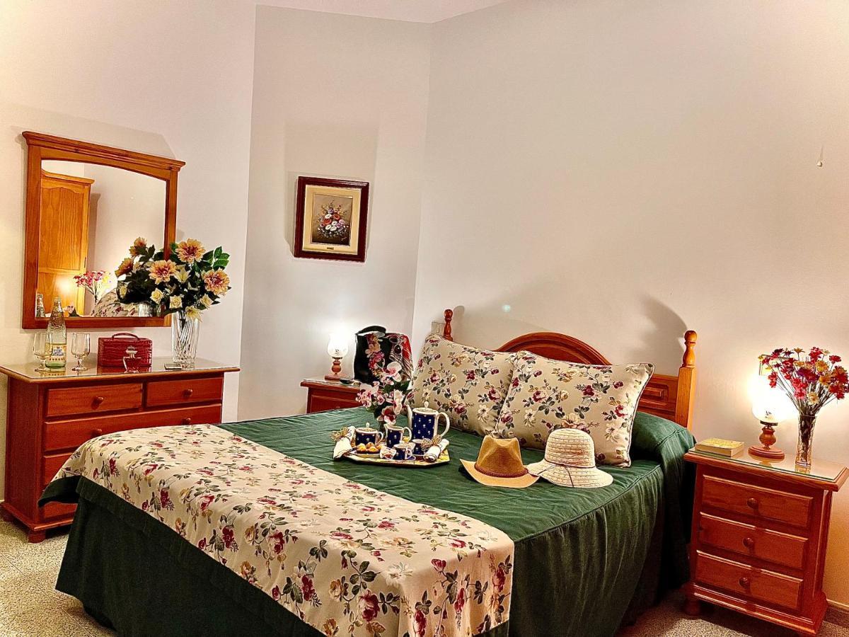 Emycanarias Holiday Homes Vecindario Vecindario  Buitenkant foto